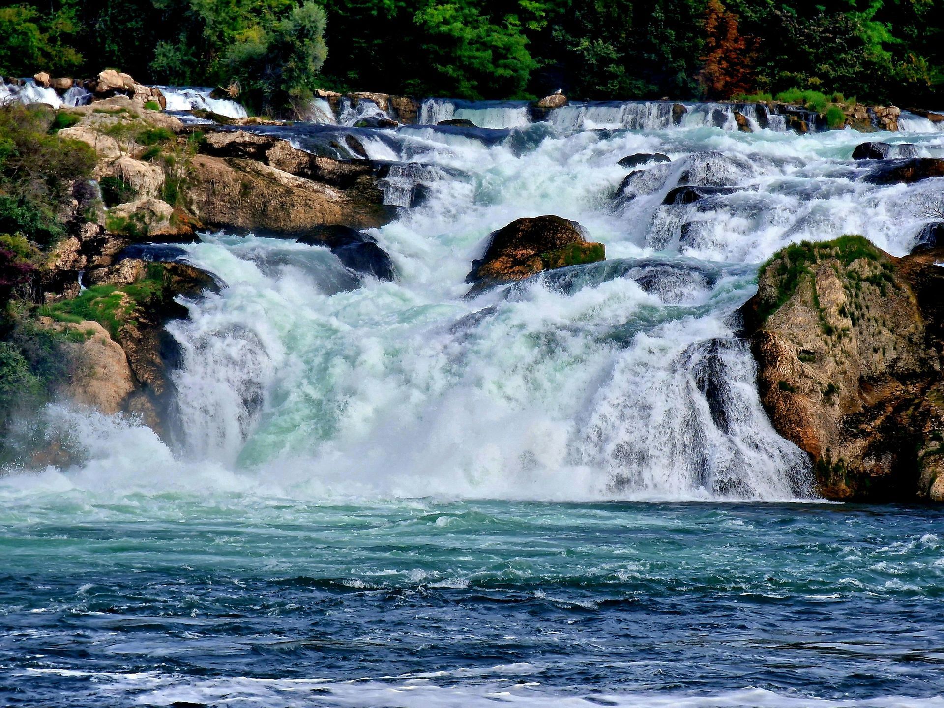 A waterfall is surrounded by rocks and trees in the middle of a river.