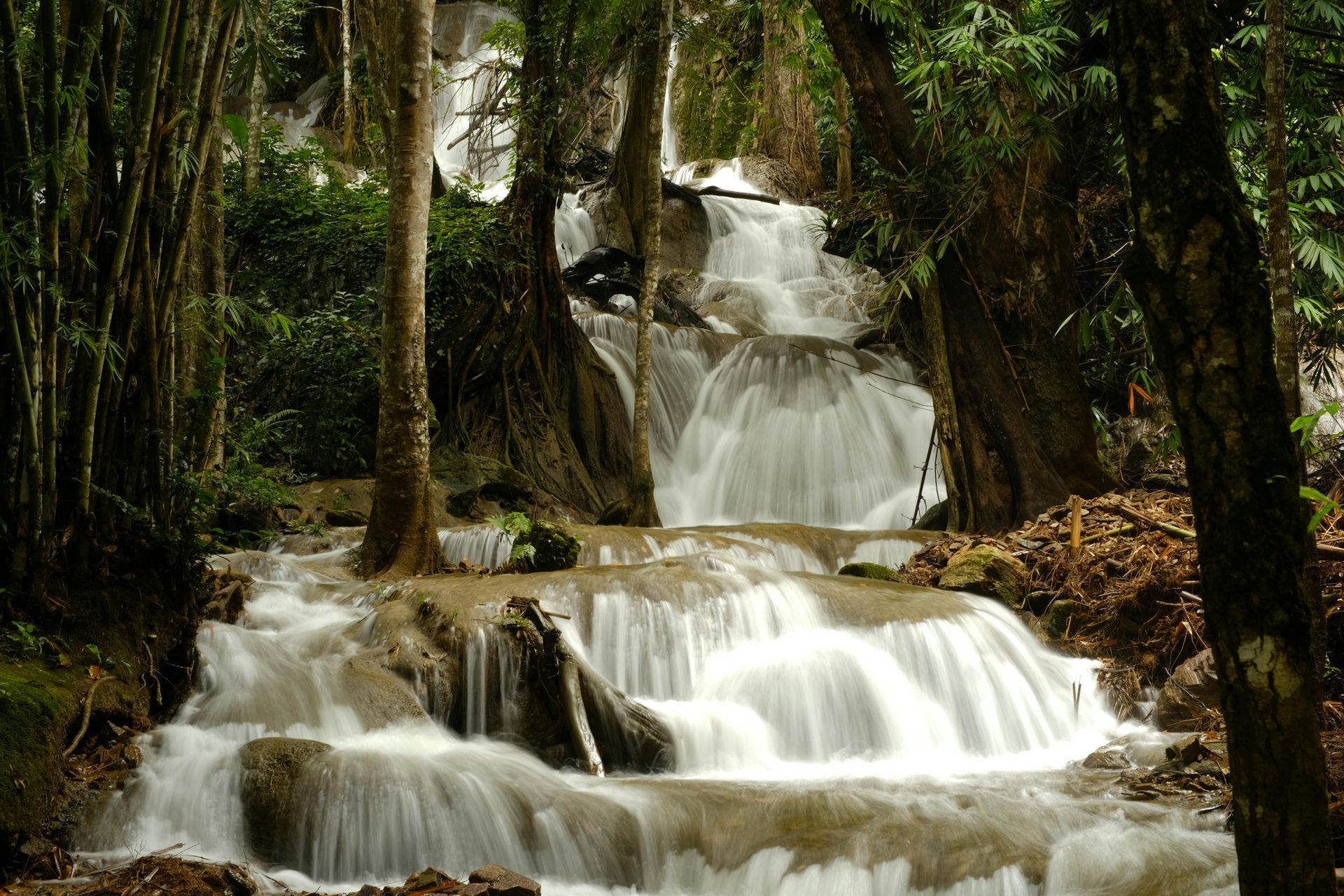 Forest Waterfall in Thailand 