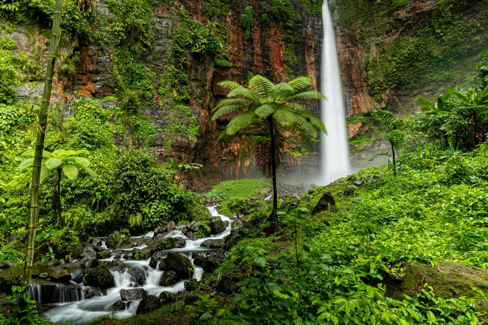 A waterfall in the middle of a lush green forest surrounded by trees in Madagascar