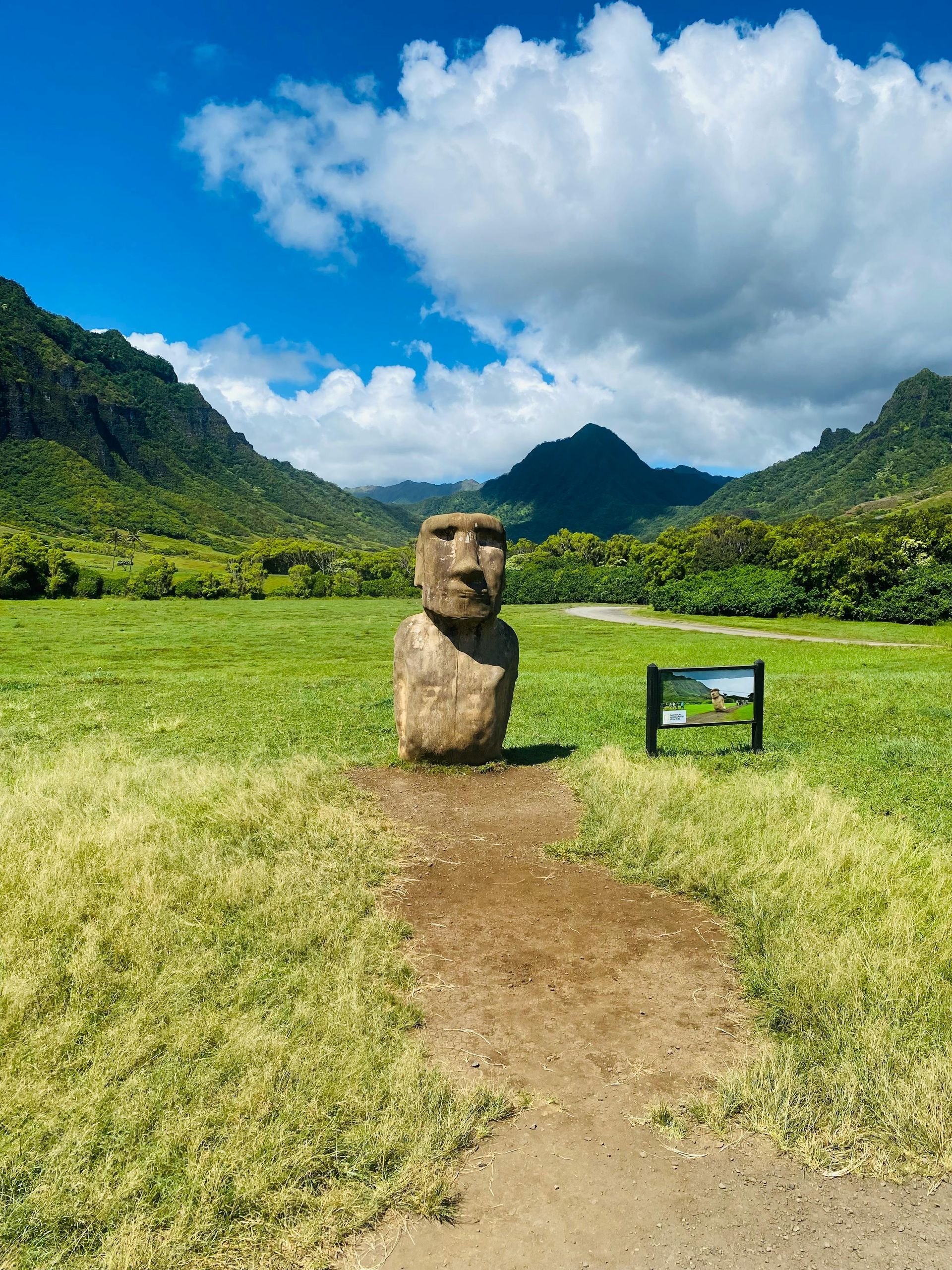 A statue of a Moai head is in the middle of a grassy field on Easter Island