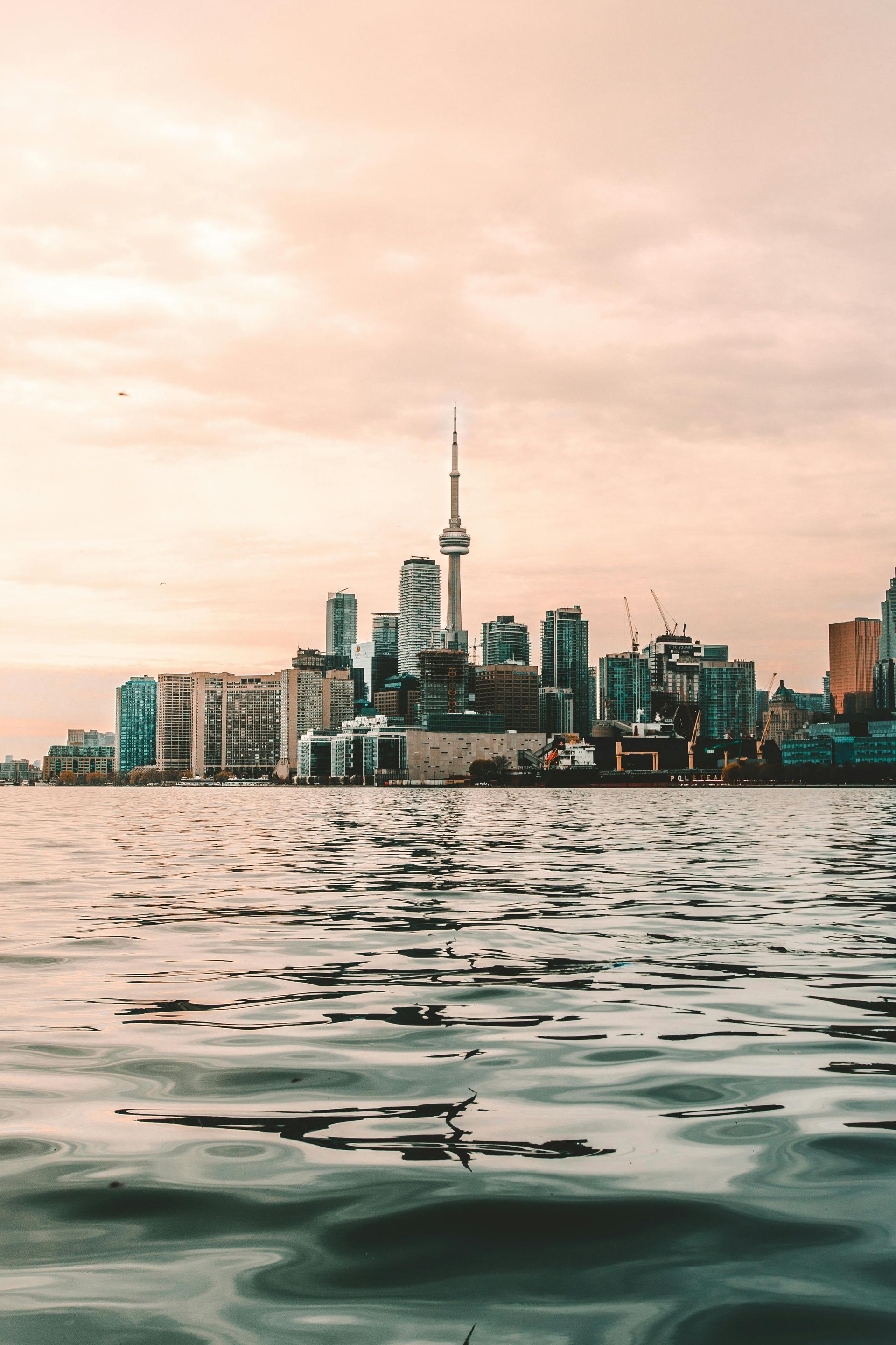 Toronto skyline is visible over a body of water.