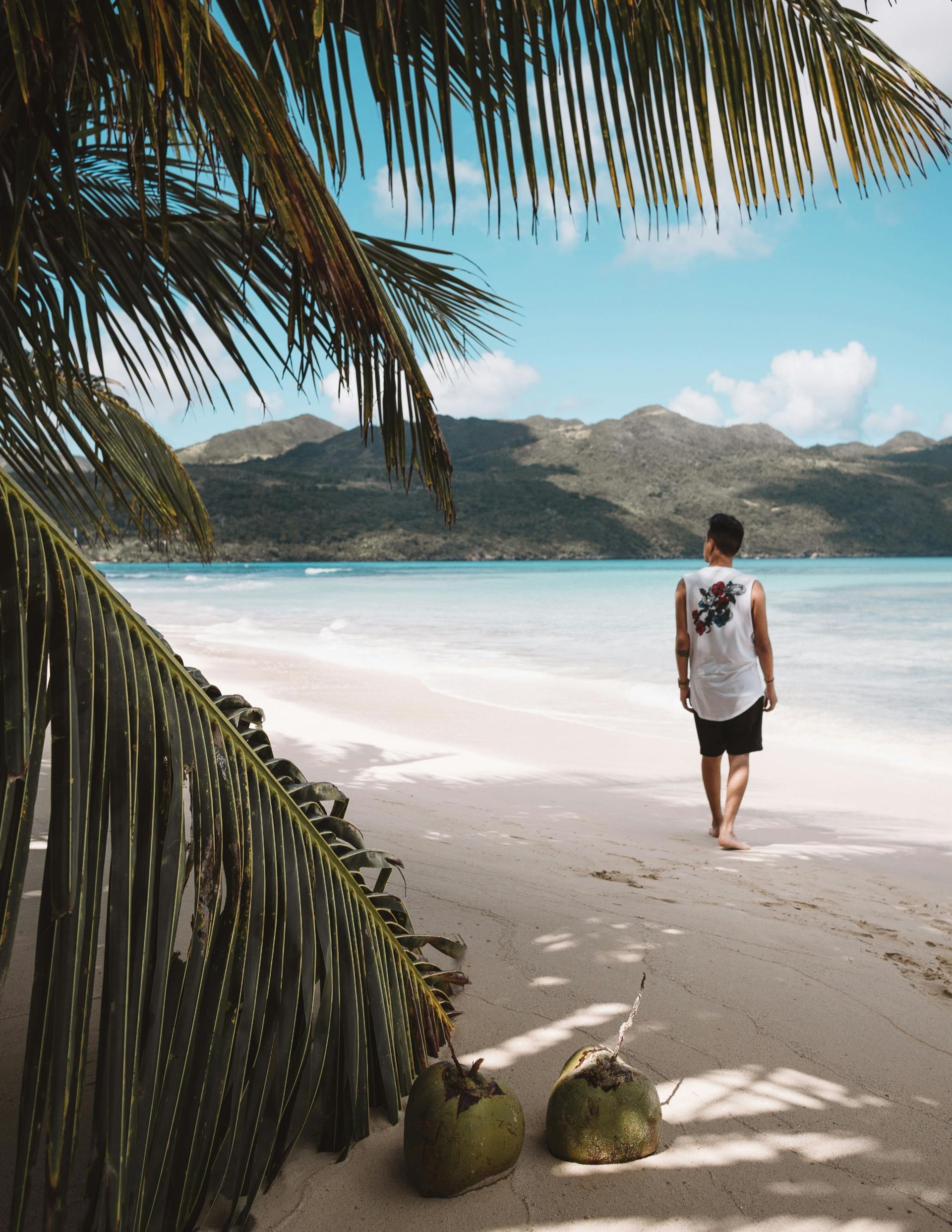 A man is walking on a beach next to a palm tree.