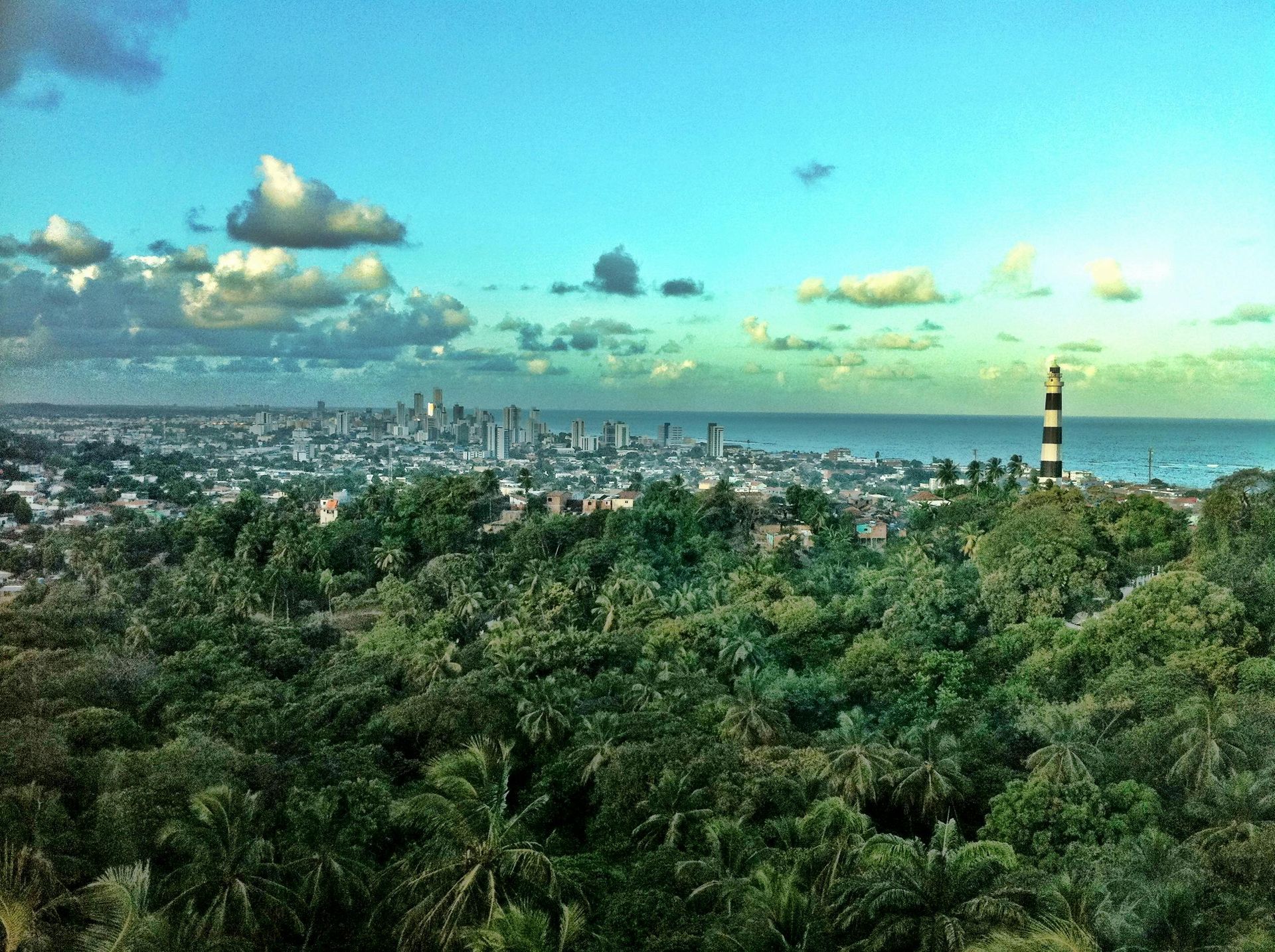 A view of a city from a lush green forest with a lighthouse in the distance.