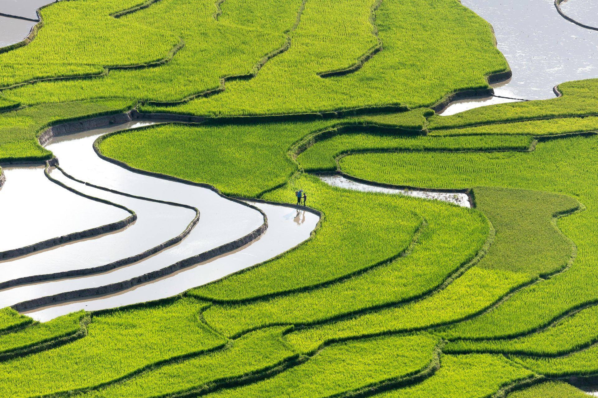An aerial view of a lush green field with a river running through it