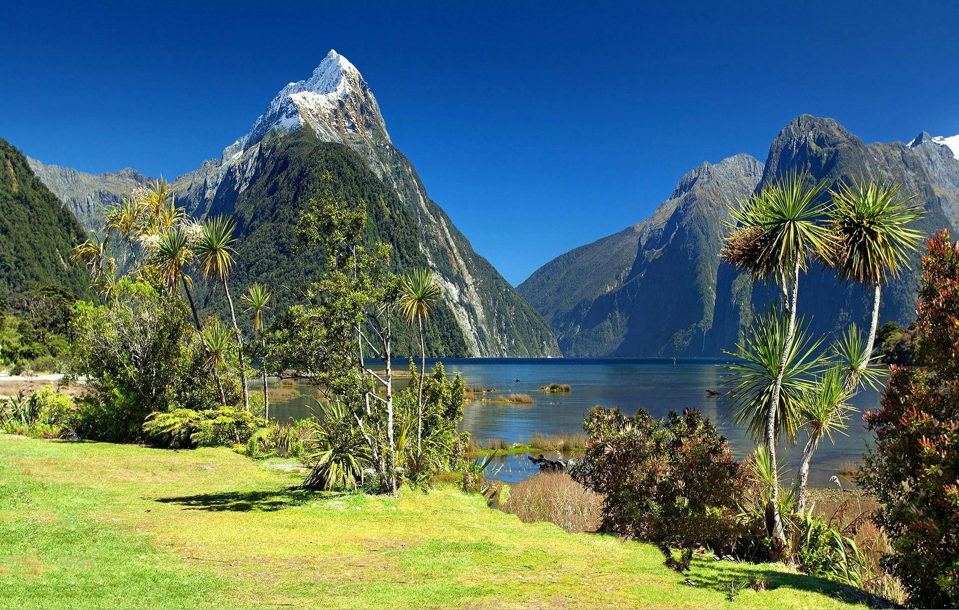 A lake with mountains in the background and trees in the foreground in New Zealand