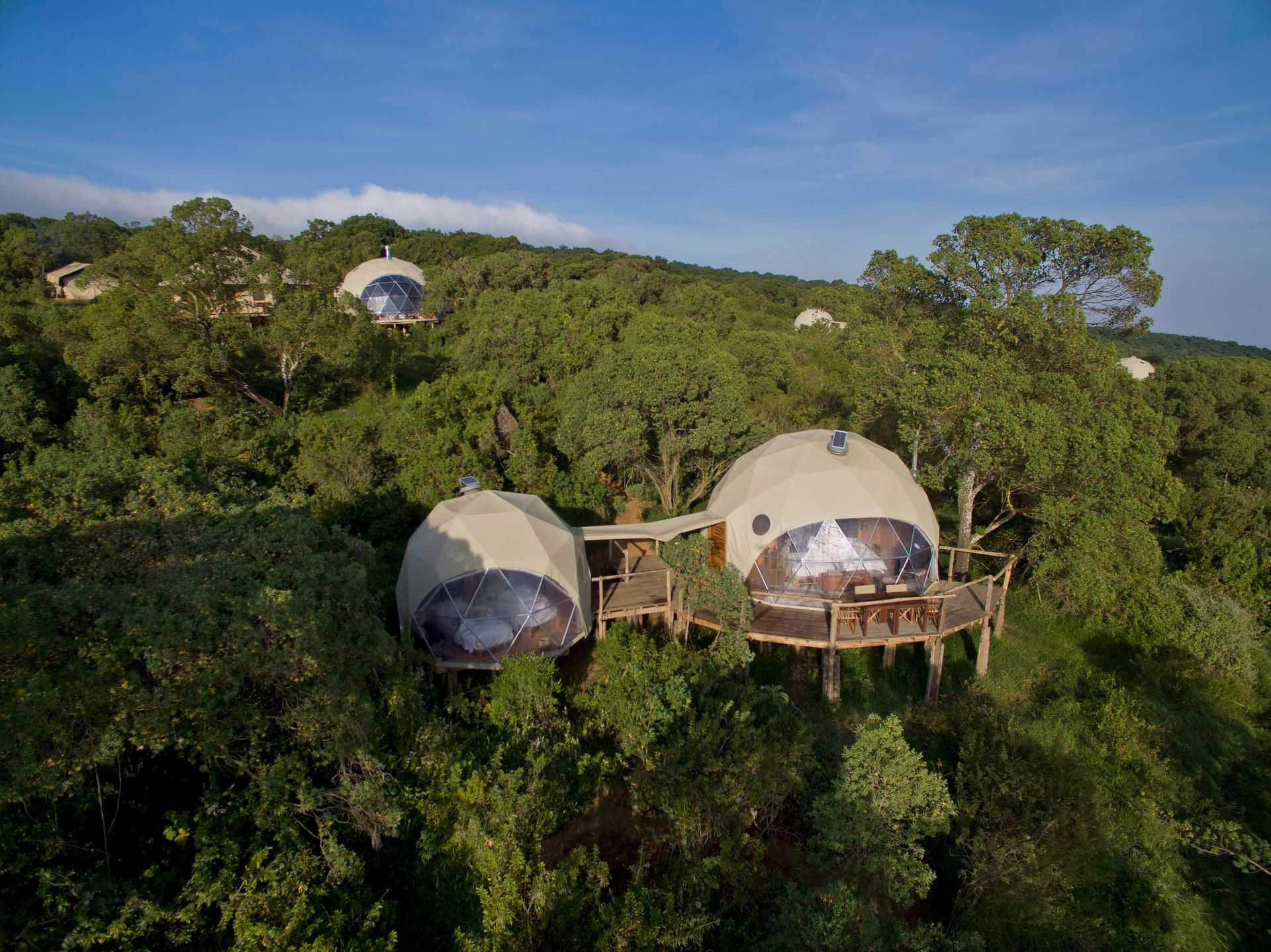 A group of Dome tents are sitting in the middle of a forest in Tanzania