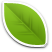 A green leaf with a white border on a white background. | 19th Avenue Garage