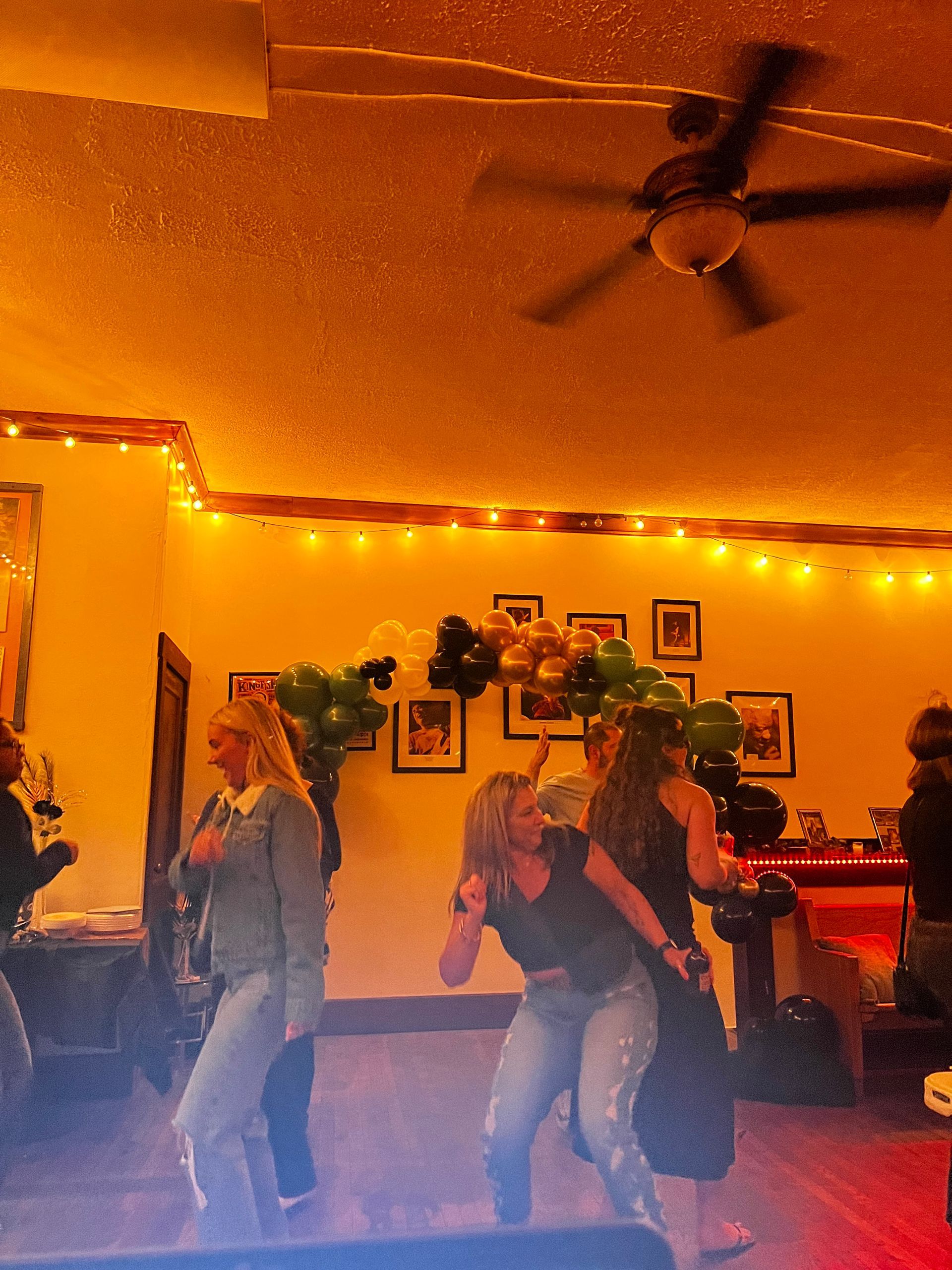 Private karaoke party with guests singing and enjoying the music.