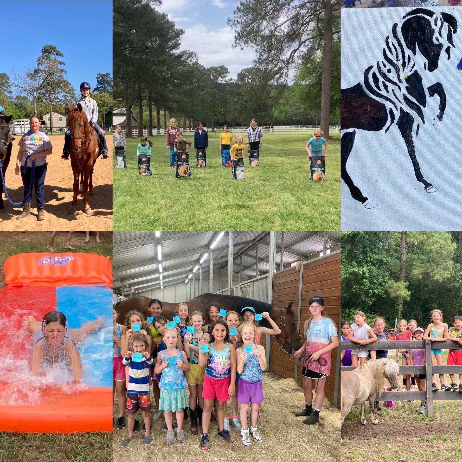Best Horseback Riding Camp near Houston, TX • Tomball, TX Vantage Point