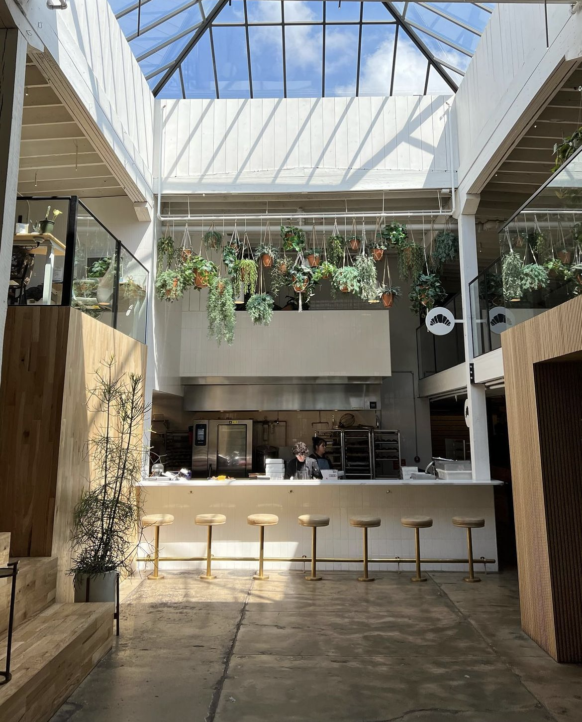 a large room with a ceiling that has a lot of windows and plants hanging from it .