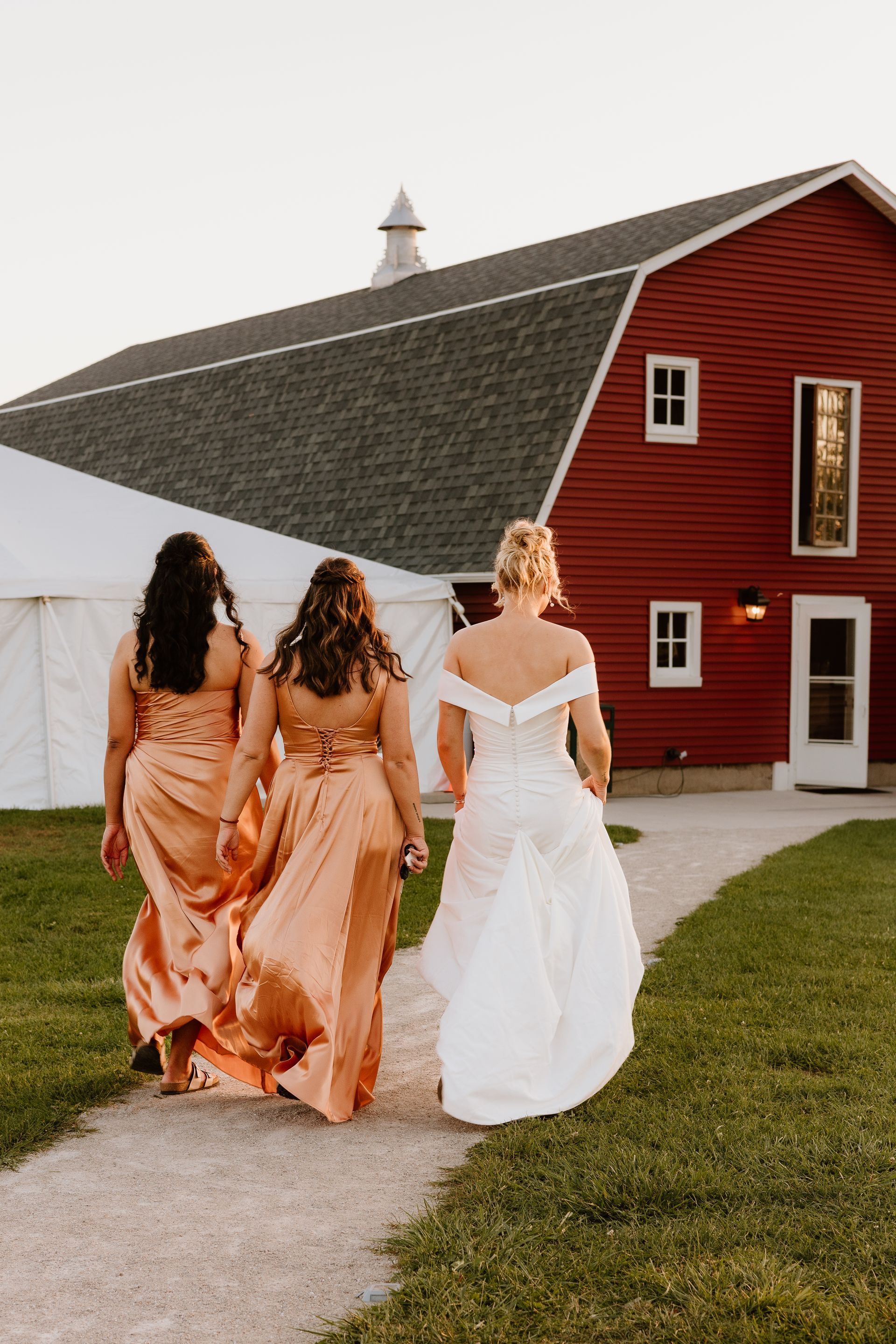 A bride and her bridesmaids are walking down a path in front of a red barn.