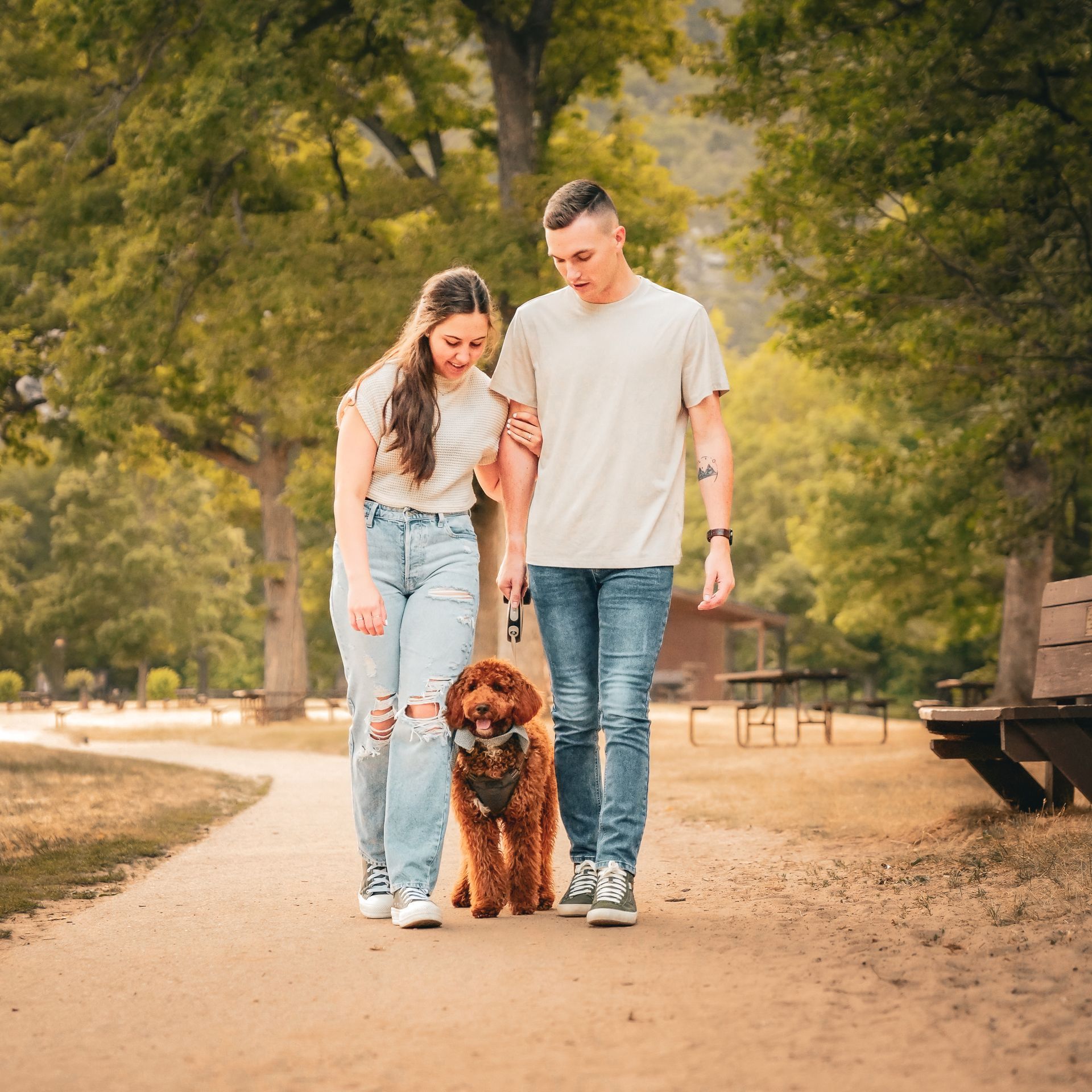 A man and woman are walking a dog on a leash in a park.