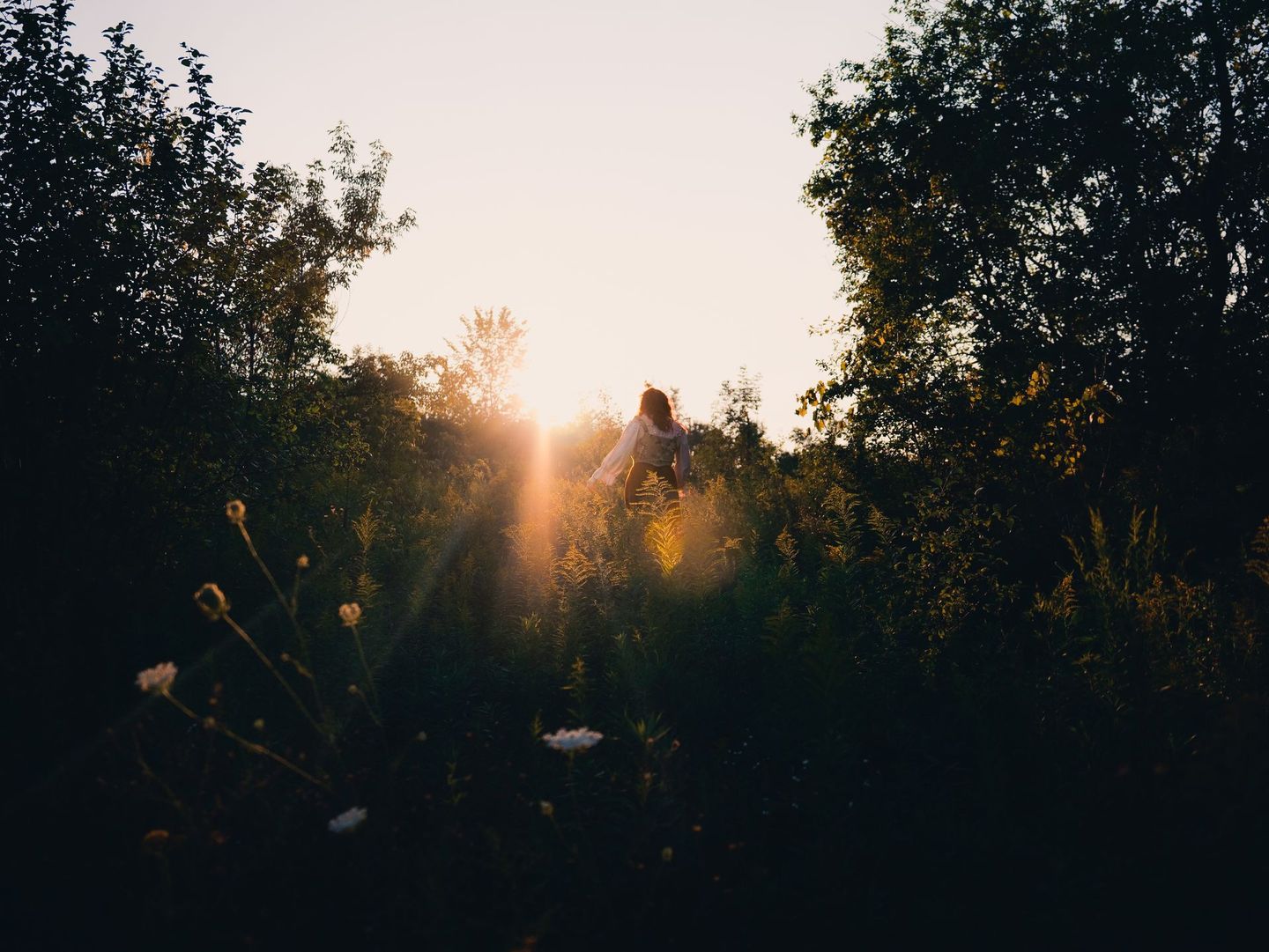 A person is standing in a field of flowers with the sun shining through the trees