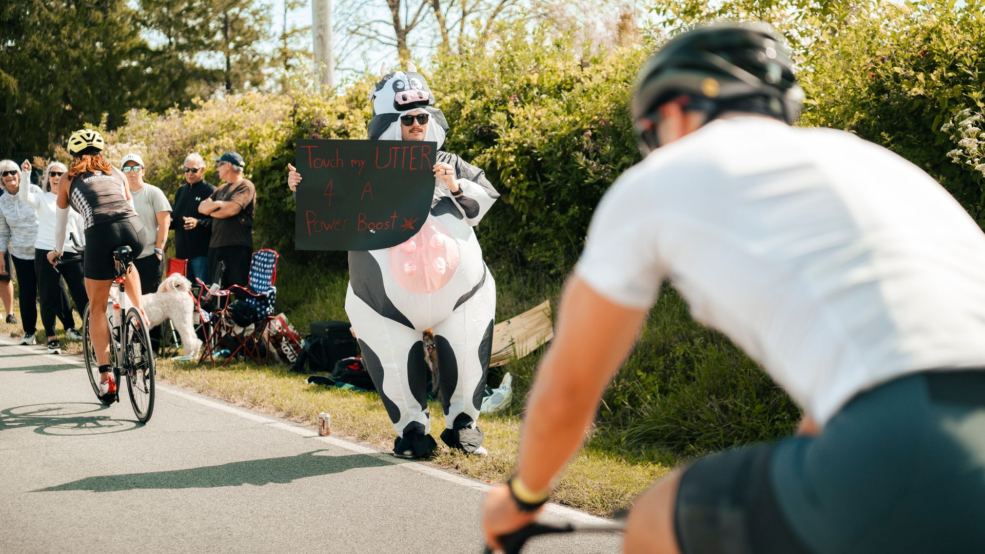 A man in a cow costume is riding a bike next to a man in a helmet.