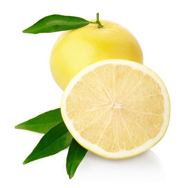 Oroblanco Grapefruit Tree