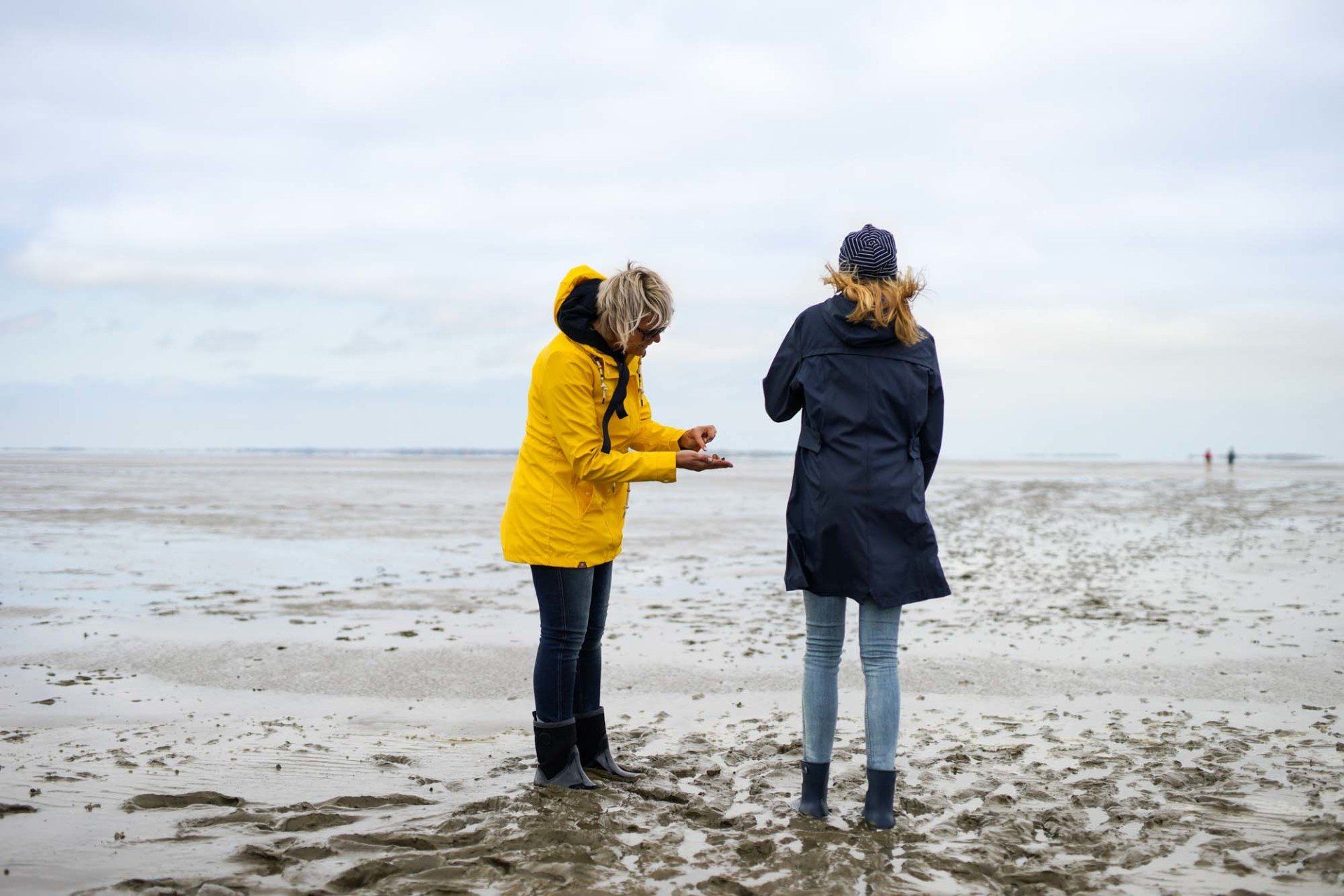 Watt und Meer - Ferienhaus Seeperle Harlesiel
