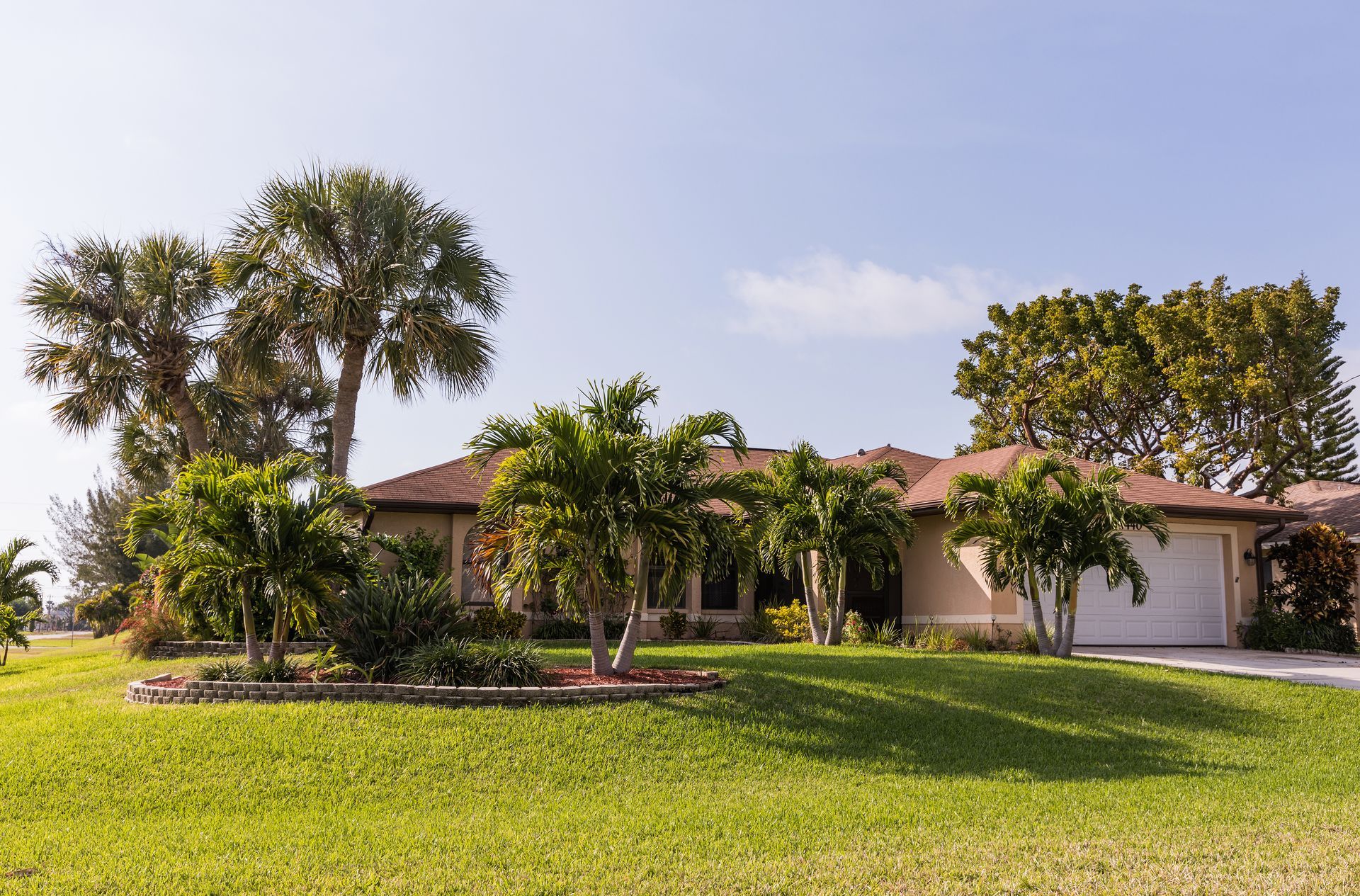 A house with a lot of palm trees in front of it