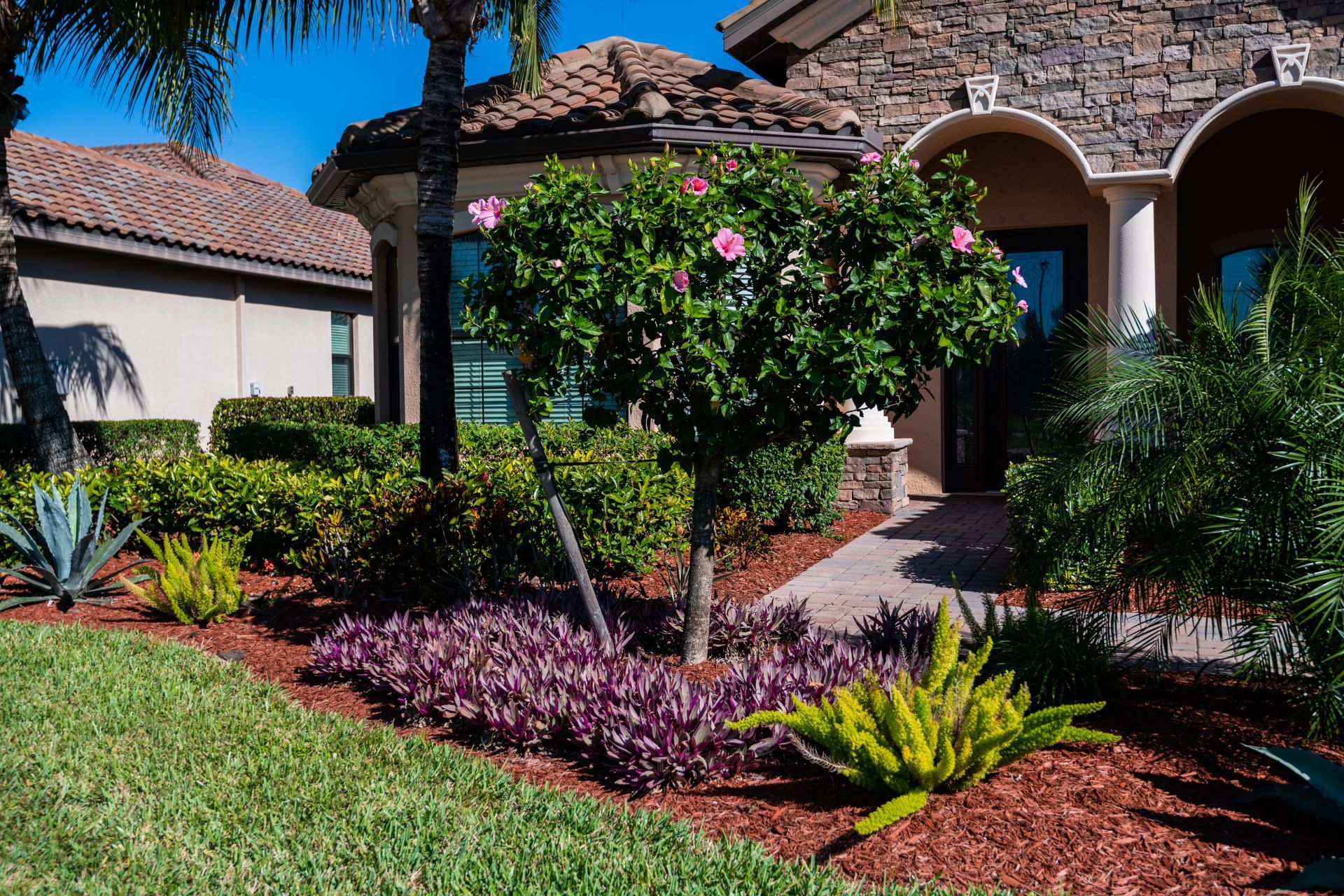 A house with a lush green lawn and a tree in front of it