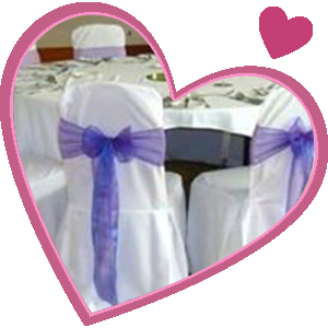 bows on wedding chairs