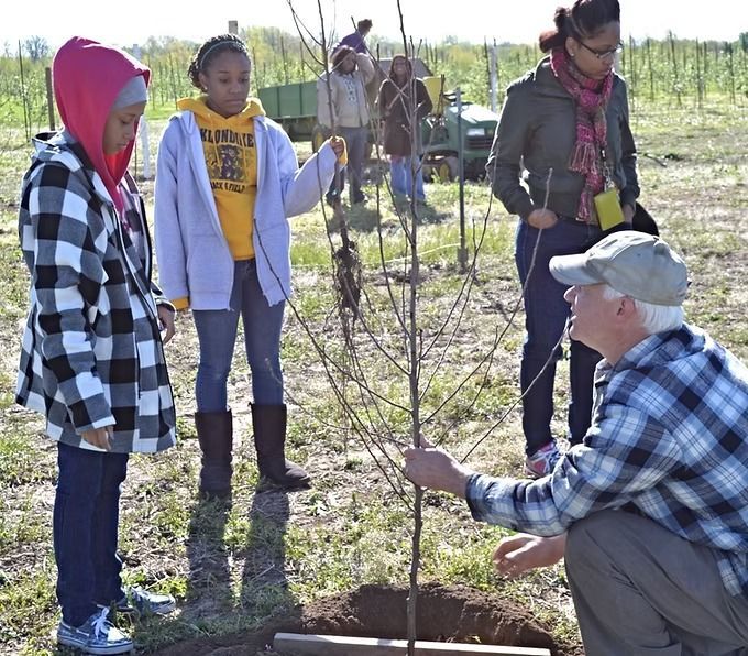 Children planting a tree with an adult; field setting.