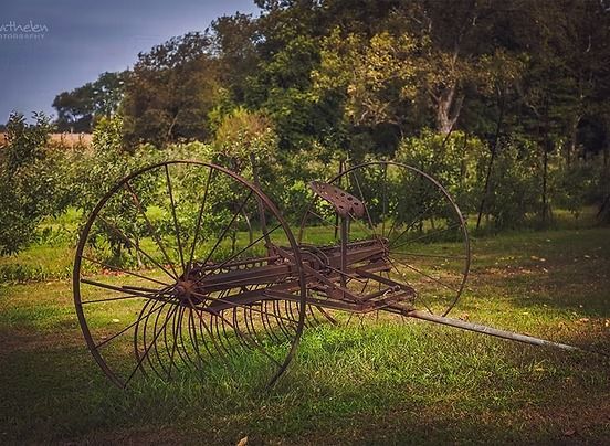 Rusty farm hay rake in a grassy field, trees in background.