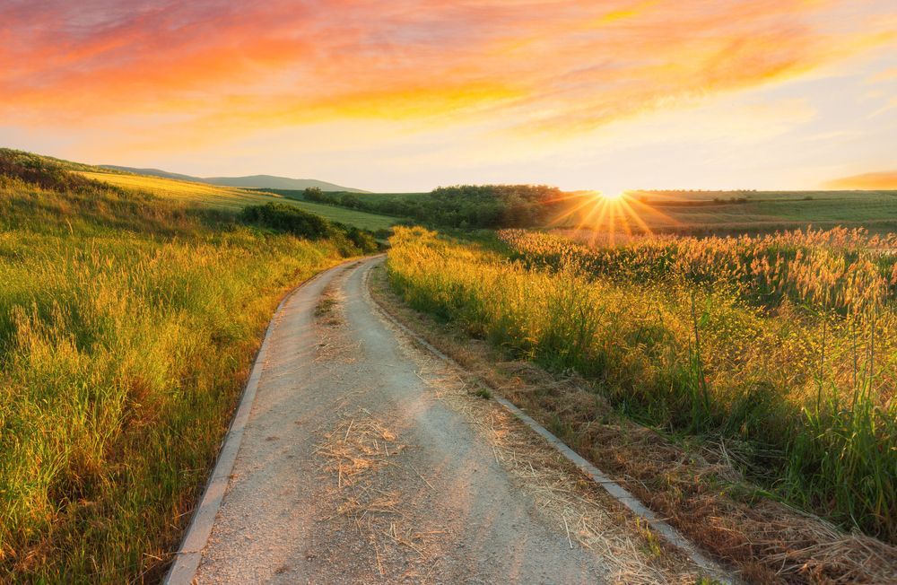 Dirt road winding through tall grass fields towards a vibrant sunset.