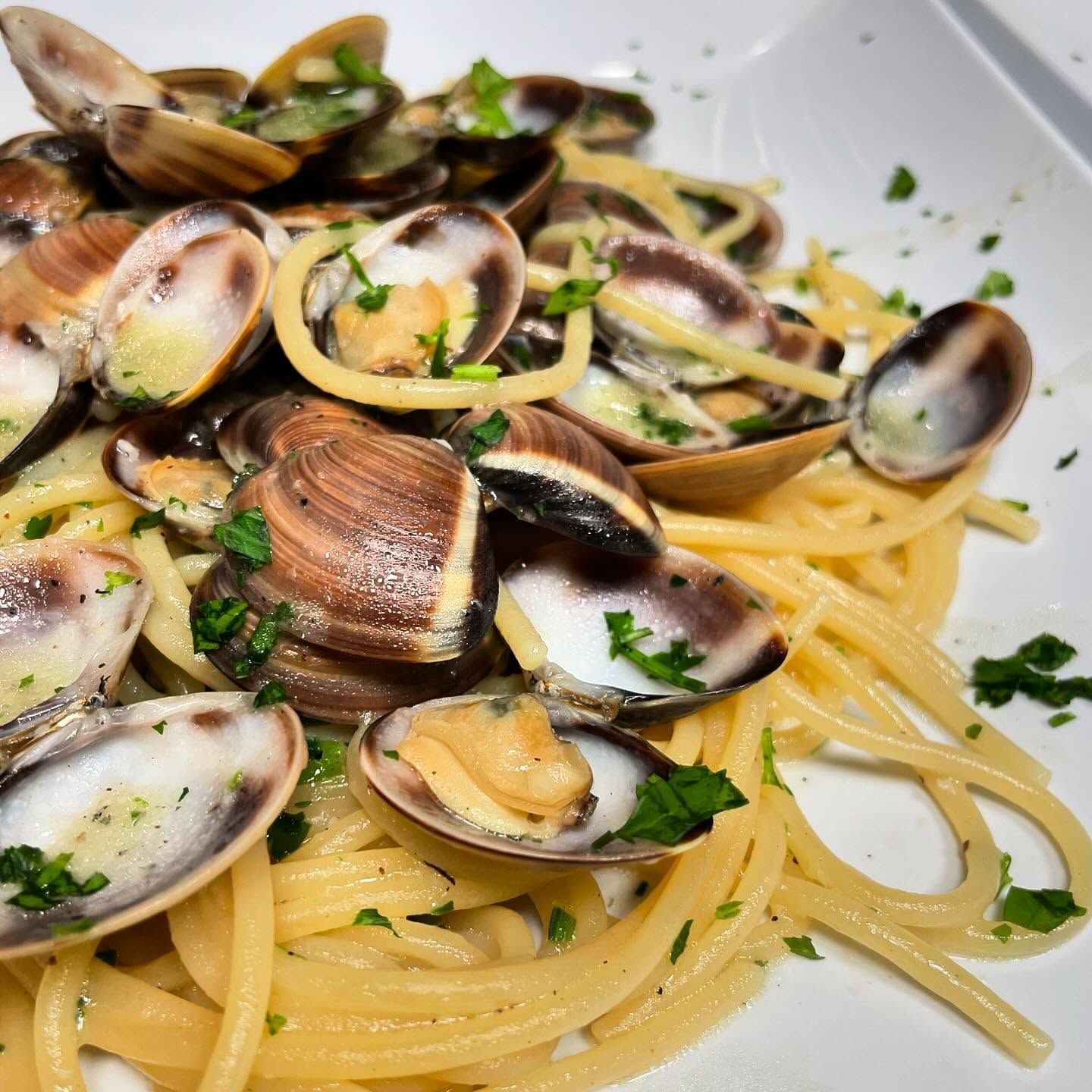 Spaghetti con vongole aperte, aglio e prezzemolo su un piatto bianco
