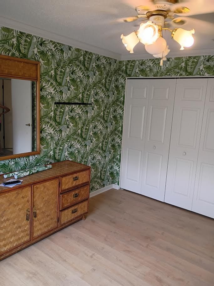 Empty bedroom with green patterned wallpaper, white closet doors, a dresser, and a ceiling fan.