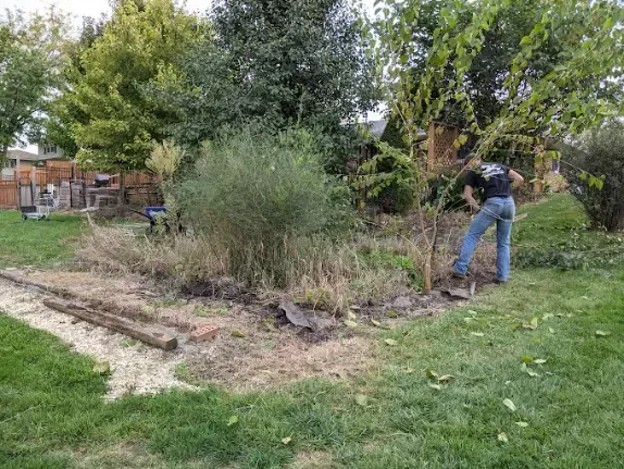 overgrown farm property, brush clearing, farm cleanup services in central ohio