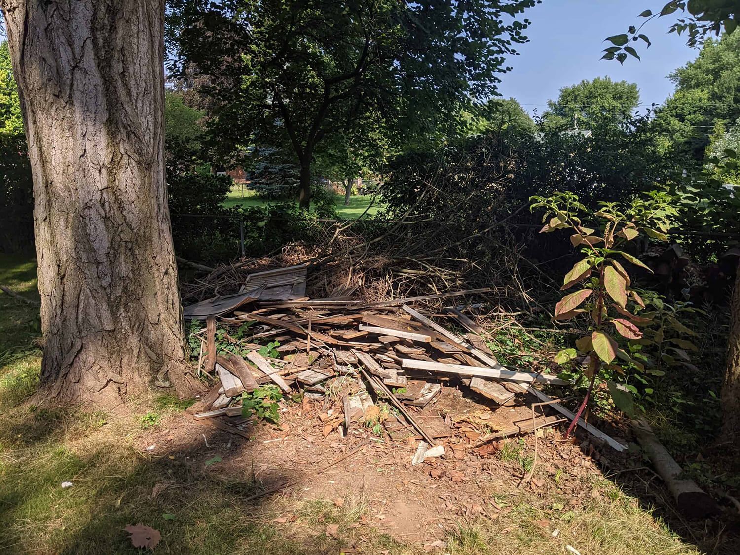 construction debris removal