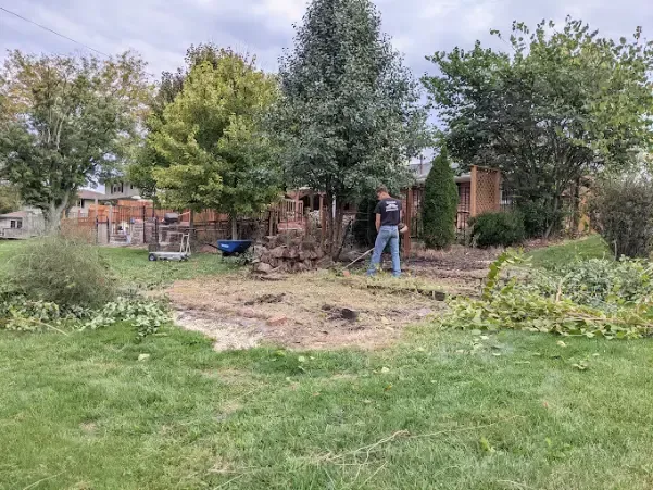 Farm Cleanout Process