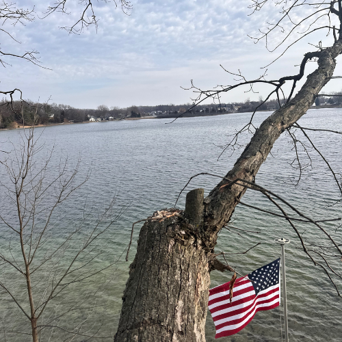 An american flag is hanging from a tree next to a lake.