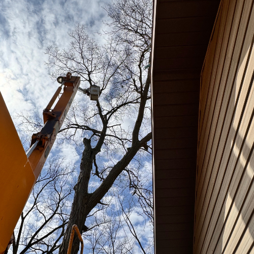 A crane is cutting a tree in front of a house.