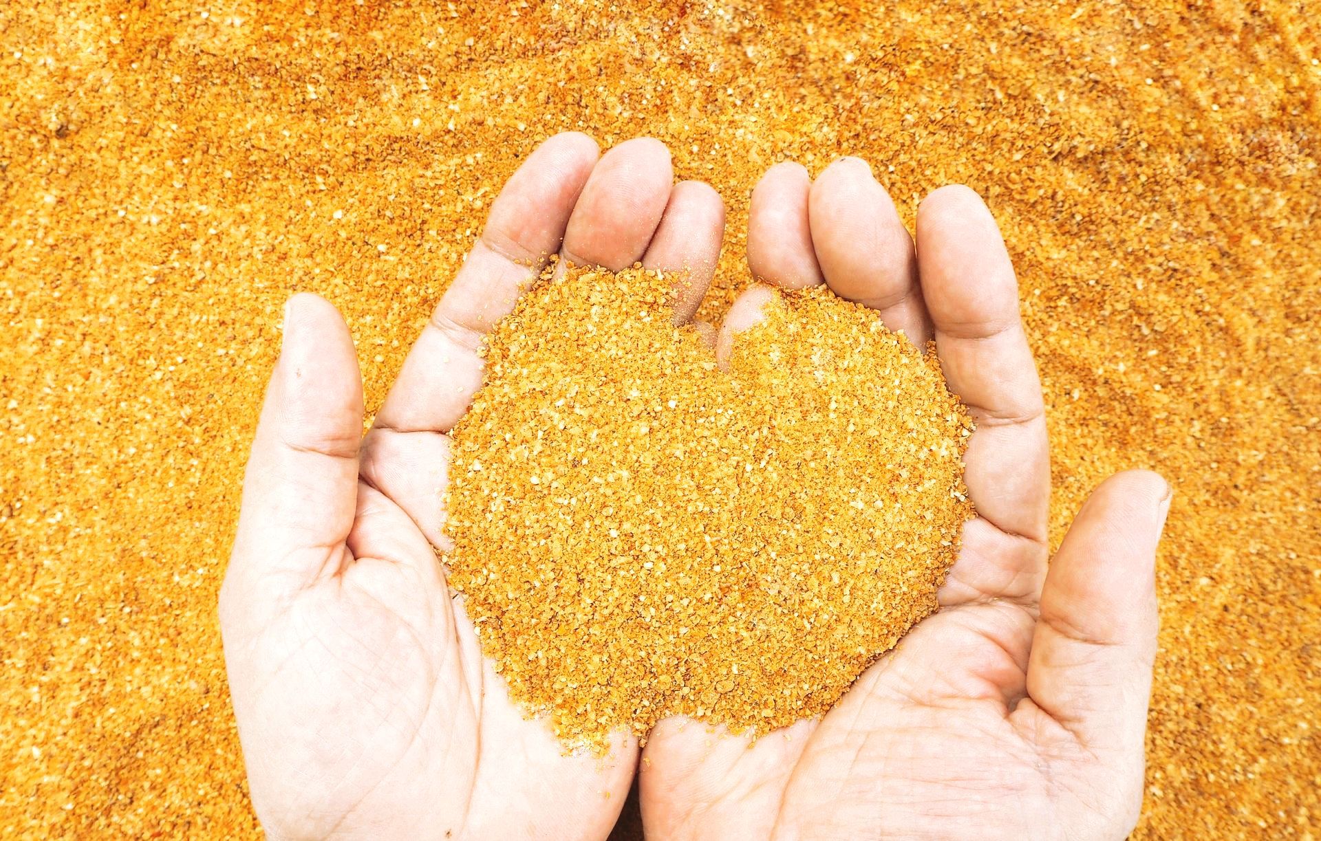 a person is holding a pile of sand in their hands