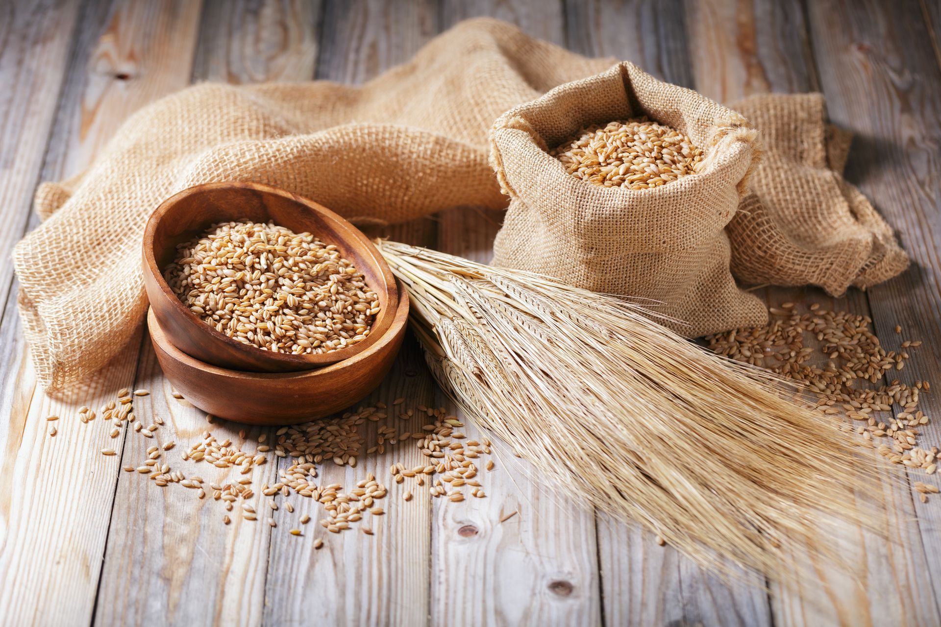 a close up of a field of wheat with the sun shining through the ears