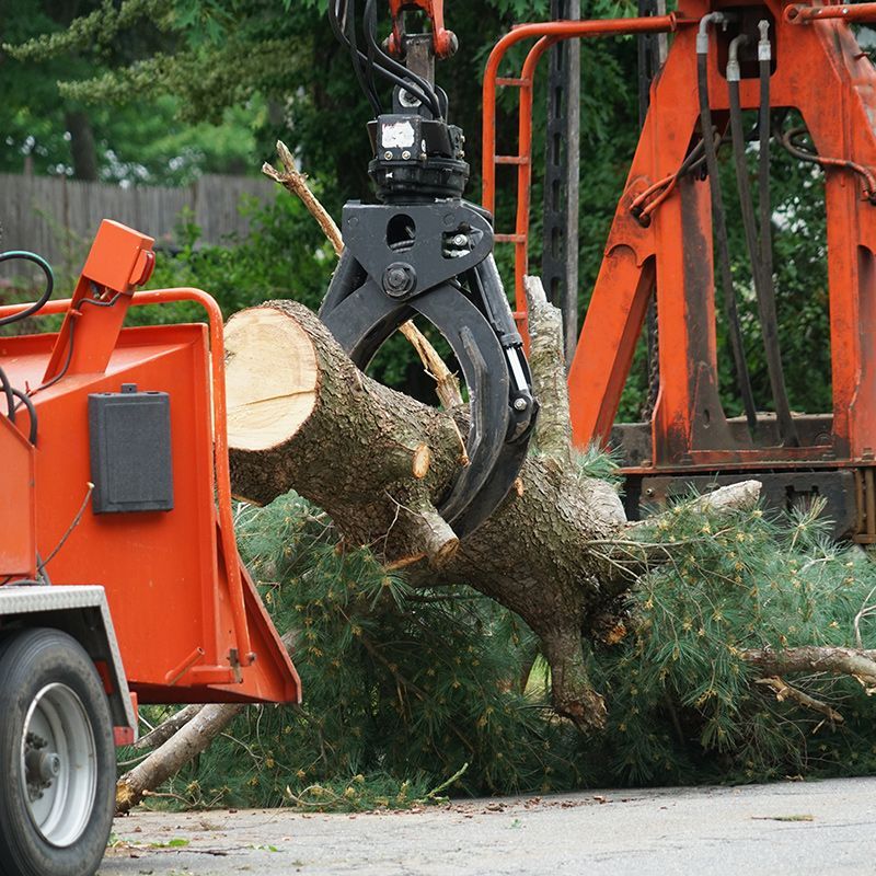 A large piece of wood is being lifted by a crane