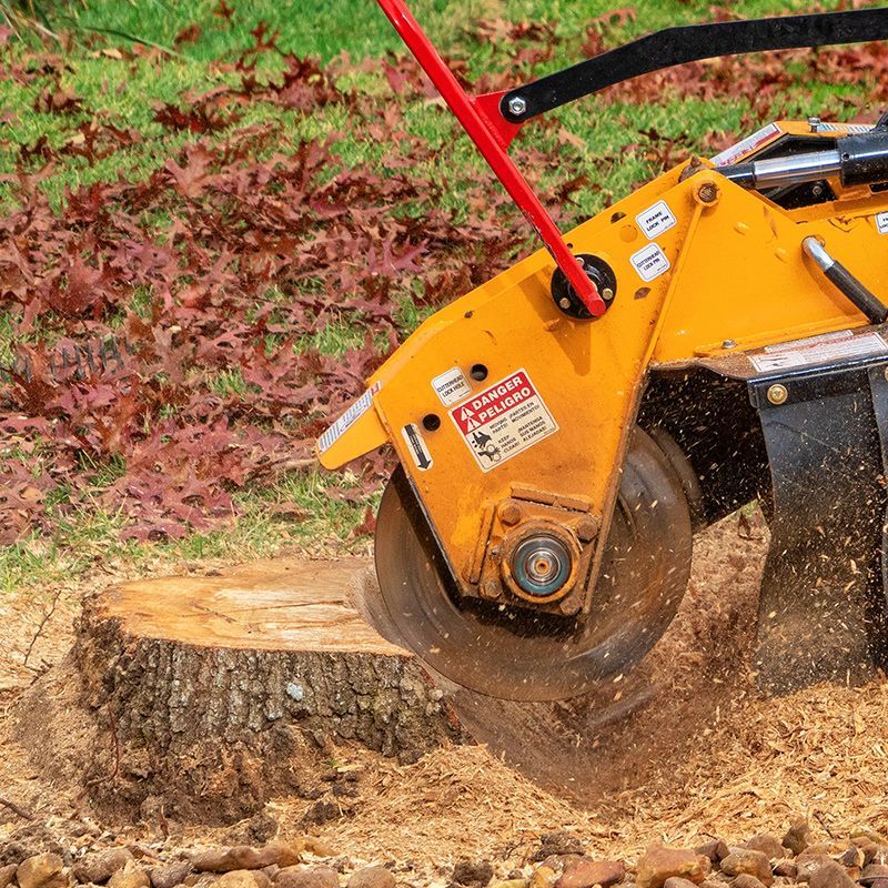 A stump grinder is cutting a tree stump in a yard.
