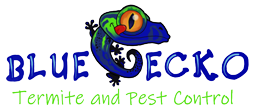 blue gecko termite and pest control