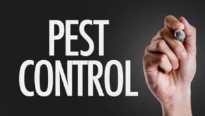 Pest Control for Workplace | Witchita, KS | Hawks Pest Control