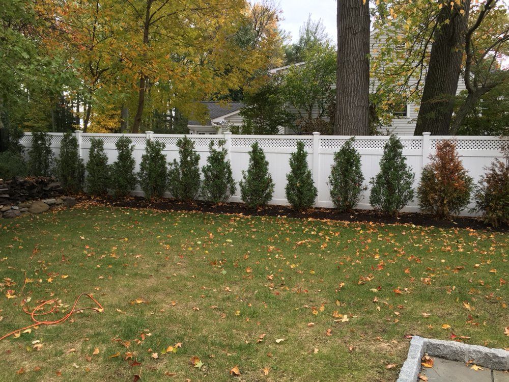 Chain Link Fence — Vinyl Fence with Plants at New Rochelle, New York