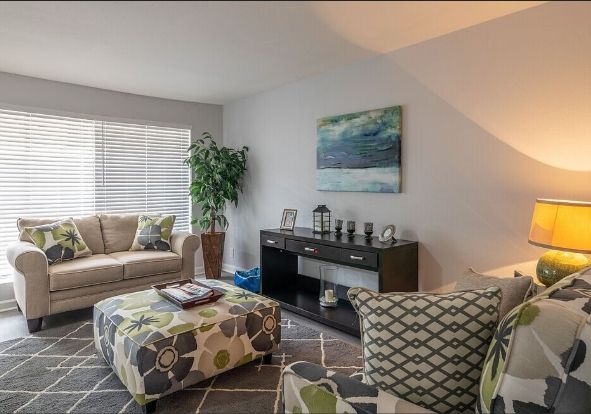 Photo of a living room, with furniture and a plant in the corner