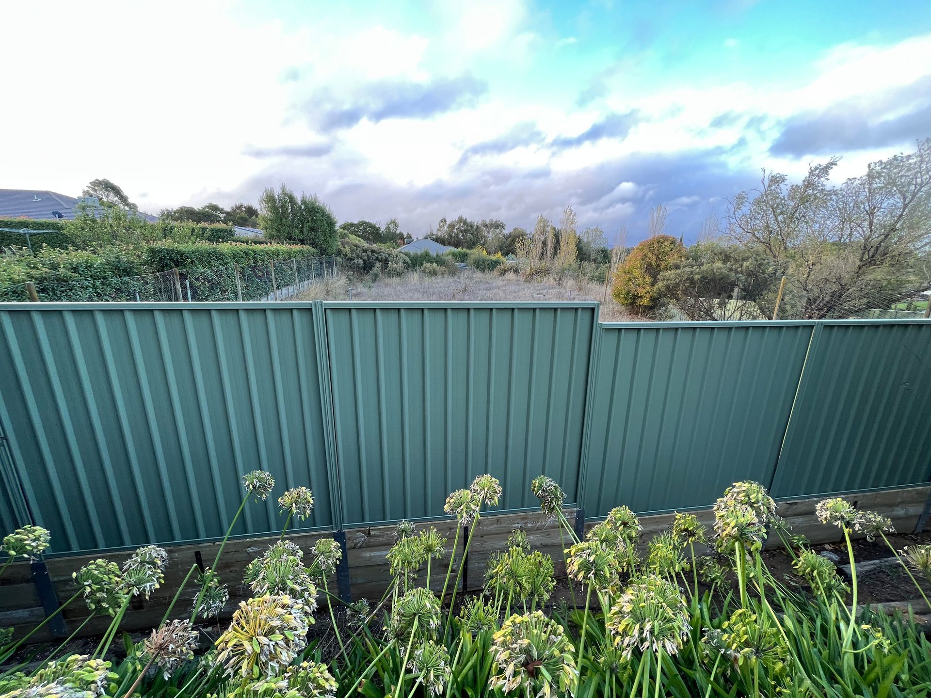 Green corrugated fence with plants in front, under a cloudy sky — LD Carpentry in Goulburn, NSW