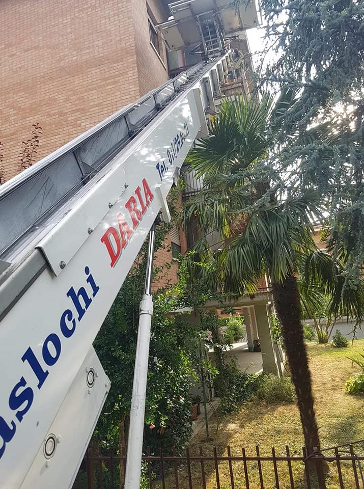 Traslochi Daria Torino