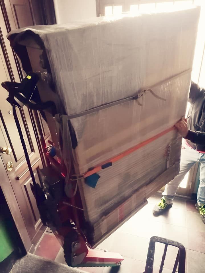 Traslochi speciali Daria Torino