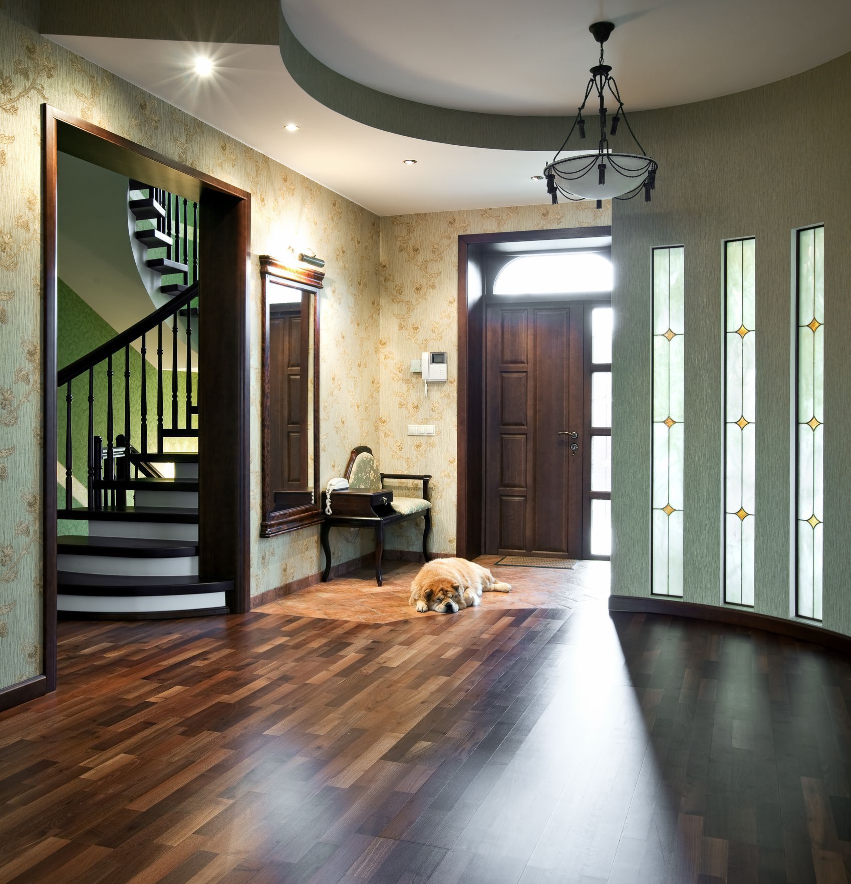 Interior hallway with wooden floors, dog lying, front door, and staircase.