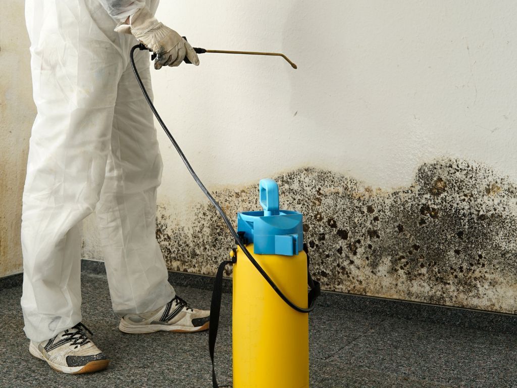 A person is spraying a wall with a spray bottle.