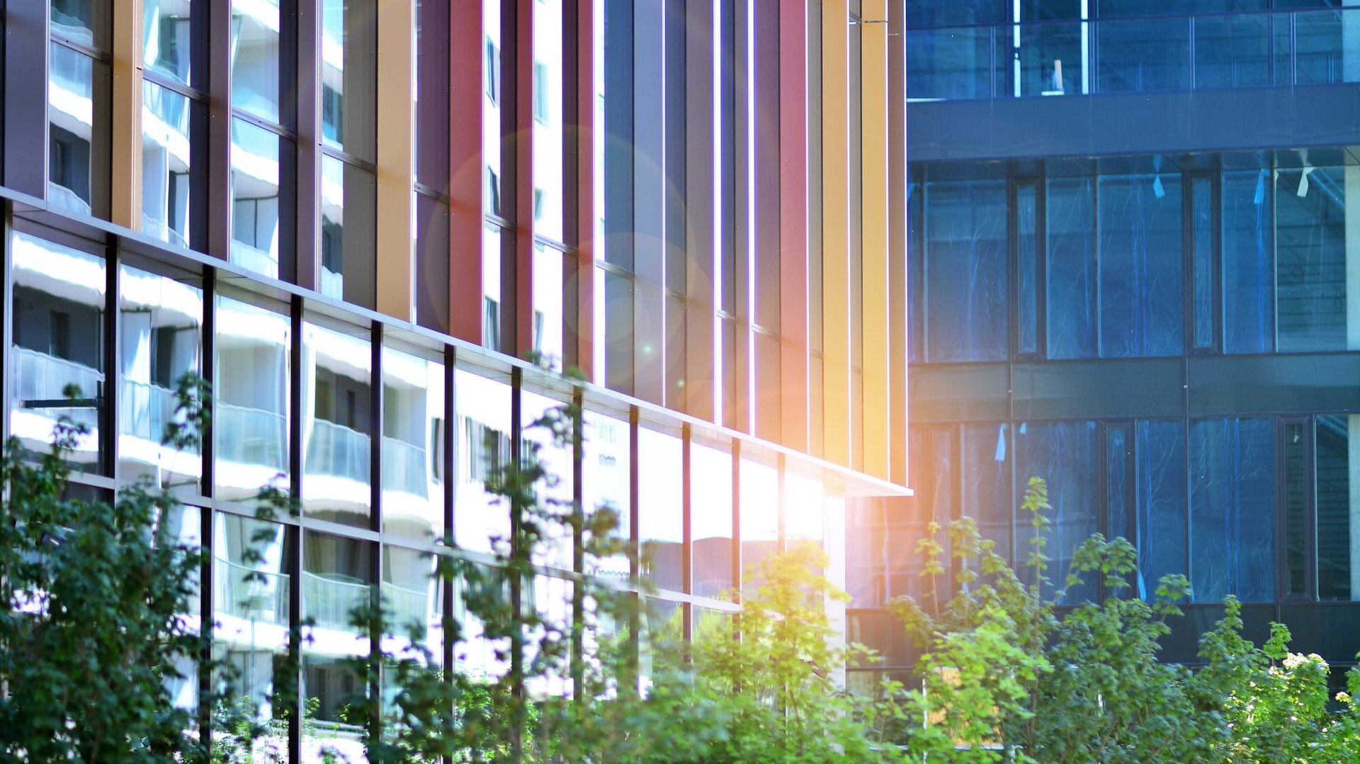 tall city office building behind line of trees