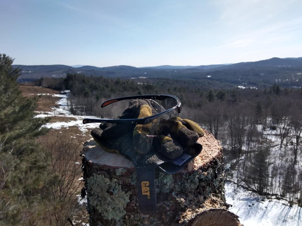 A pair of sunglasses and gloves are sitting on top of a tree stump.