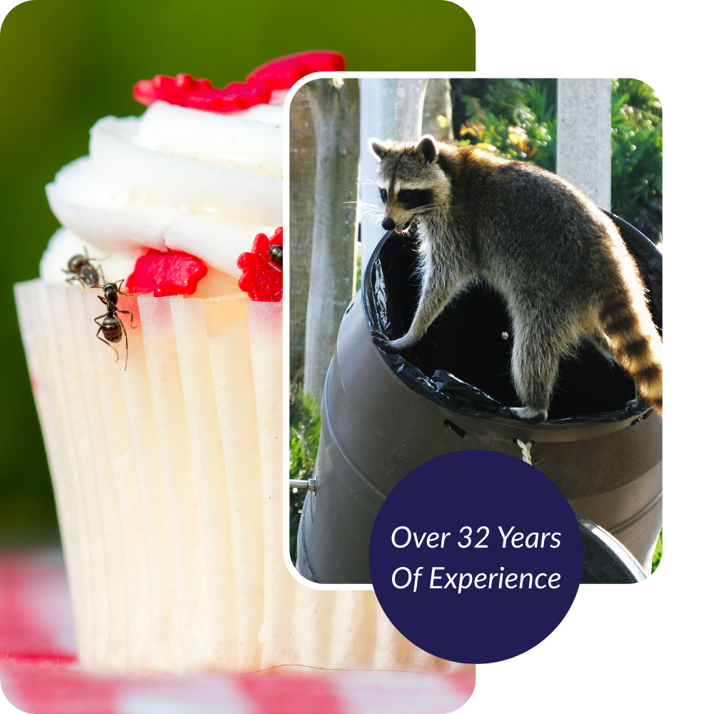 Cupcake with ants and raccoon in trash can. 