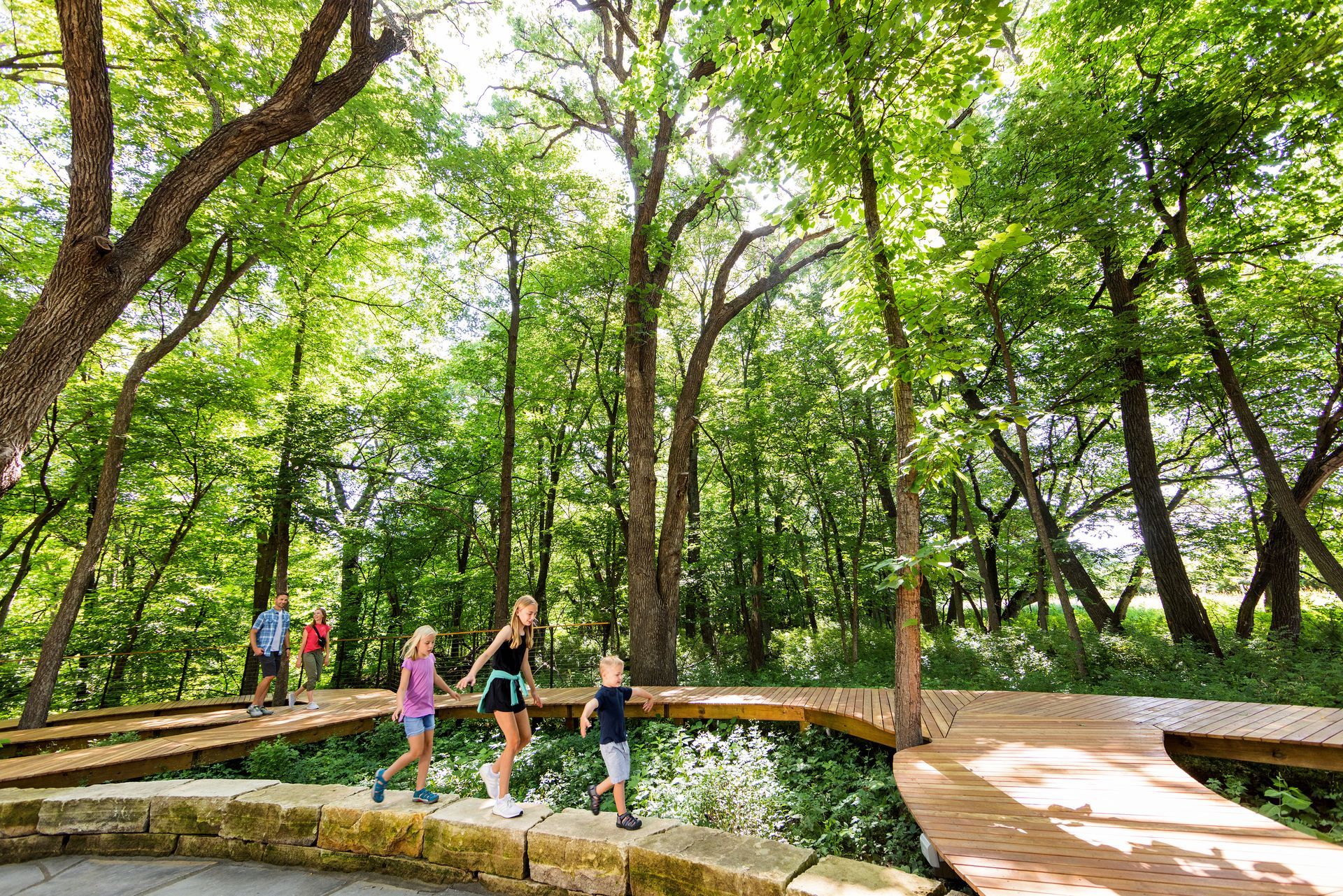 A group of people are walking across a wooden bridge in the woods.